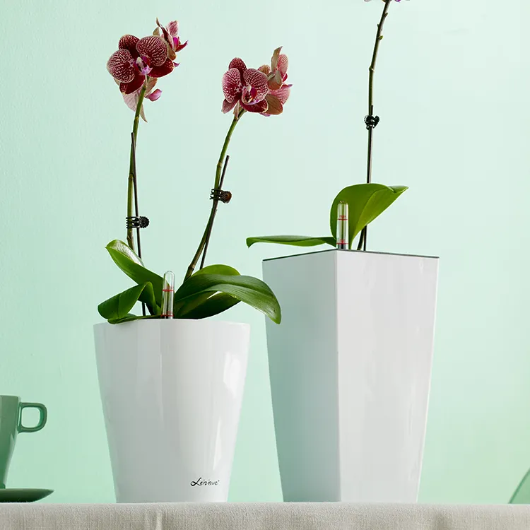 Çin öz-sulama tembel kaktüs masa ofis masası kapalı yenilik sevimli küçük toptan ot ekici plastik bitki saksısı çiçek pot