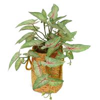 Bouquet de feuilles artificielles réalistes, toile de fond de table en plastique écologique avec fleurs et verdure au look naturel