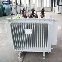 SinoShine 2 Sarımlı Yağ Tipi Güç Trafosu 250kVA 500kVA 750kVA 11kV 0.433kV Elektrik Ekipmanları Trafoları
