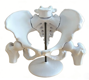Meilleure vente en Chine : Prototypage rapide de tête humaine par impression 3D haute précision, matériau résine SLA, détails réalistes, personnalisation OEM - Product Image 1