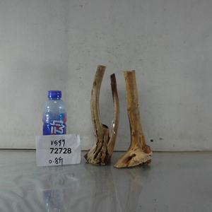 Décor aquatique : Racine de rhododendron, bois flotté, tronc d'arbre pour <span class=keywords><strong>aquarium</strong></span> rainforest, racine unique détachée - Product Image 1