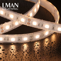 Haute qualité étanche extérieur paysage bâtiment décoratif Flexible SMD 5050 DC 12V/24V IP65 LED bande lumineuse 2700-7000K couleur