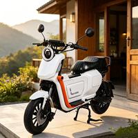 Moto électrique pour adultes 1000W, moteur sans balais 60V, frein à disque double, vitesse maximale de 60 km/h, moto électrique pour les trajets en ville