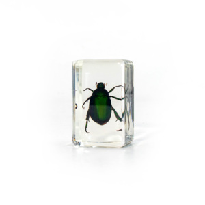 Sciarapone a braccio lungo ecologico in resina, artigianato in vero resina epossidica, campione animale per regali - Product Image 6