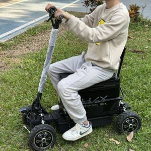 2000W çift motorlu lityum pil 4 tekerlekli tepsi araba elektrikli Scooter elektrikli balıkçılık arabaları arka kamyon kargo EBike - Product Image 5