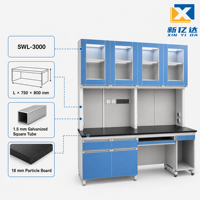 Banc de travail de laboratoire en acier et bois durable avec rangement pour ordinateur et étagère à réactifs, armoire murale, mobilier de laboratoire pour laboratoire de chimie