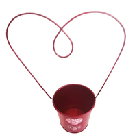 Pot de fleurs en métal cadeau Saint Valentin rouge Japon mignon mini serre message pot de plante