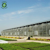 Fabrication en usine diverses serre à panneaux solaires agricoles à plusieurs étages à structure verte à vendre