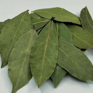 Huaou Vente en gros de feuilles de <span class=keywords><strong>laurier</strong></span>, herbes et épices individuelles, feuilles de <span class=keywords><strong>laurier</strong></span> séchées à bas <span class=keywords><strong>prix</strong></span>, feuilles de <span class=keywords><strong>laurier</strong></span> vertes - Product Image 3