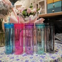 16oz Acryl Sublimations-Skinny-Tumbler, doppelwandig, transparent, BPA-frei, mit Deckel und Strohhalm für DIY-Glitzer-Bastelarbeiten, individuelles Trinkgeschirr