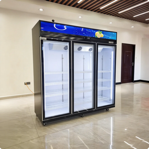 <span class=keywords><strong>Congélateur</strong></span> <span class=keywords><strong>vertical</strong></span> à porte vitrée, écoénergétique, pour magasin de boissons - Product Image 5