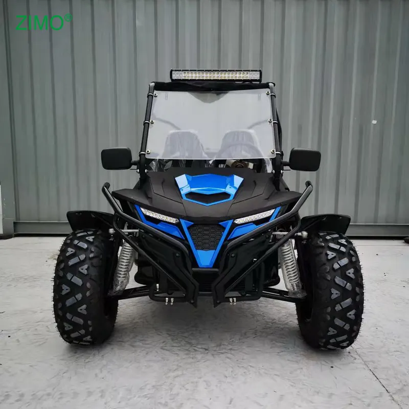 Buggy Double siège de haute qualité 300cc à vendre