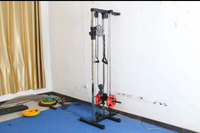 Système de poulies doubles réglables en usine, machine de tirage vertical murale en acier, durable, pour entraînement de fitness à domicile, avec câble de charge