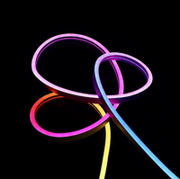 Bande LED néon RGB à détecteur de mouvement PIR 12V, allumage/extinction automatique, détection humaine pour placard, escalier, couloir, veilleuse