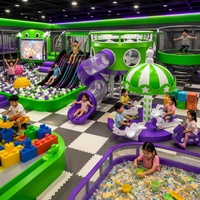 Prix d'usine Équipement de jeux intérieur à thème vert citron et violet, avec toboggan multi-voies, écran grenouille, tube spiralé et carrousel avion