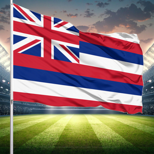Hawaii Cho Nhà Nước Cờ Tay Sóng Quốc Gia Cờ Bất Nhà Máy Giá In Kỹ Thuật Số Cờ Quốc Gia Bán Buôn - Product Image 2