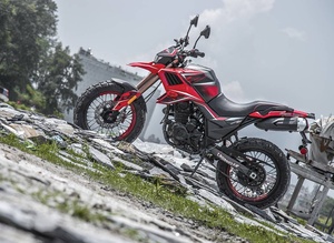 <strong>TEKKEN</strong> 200CC <strong>250CC</strong> <strong>MOTORCYCLE</strong> No.2209004 - Product Image 6