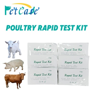 10 test/kit de prueba rapido canino Brucella per brucellosi bovina - Product Image 5