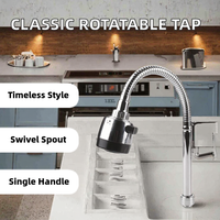 Robinet de cuisine moderne classique à eau froide avec poignée en acier, monotrou, rotatif, à valve céramique verticale pour les marchés d'Asie du Sud-Est