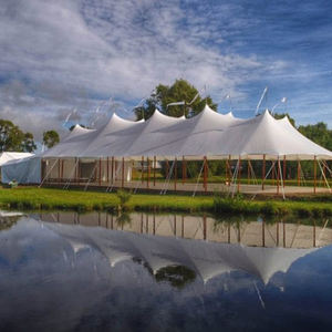 Tente de réception robuste en PVC, chapiteau événementiel, abri amovible, tente pour événement avec parois fenêtres en PVC, tente de mariage - Product Image 1