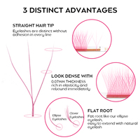 Cils synthétiques 2D-6D en forme de W, courbure C, volume naturel doux, bouquets pré-faits faits à la main avec dos en feuille, pour cils colorés