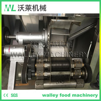 China Snij- en Hakmachine voor Fruit en Groenten