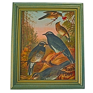 Khung Ảnh Nhựa PS Màu Vàng Bán Sỉ 12X12 Inch - Product Image 1