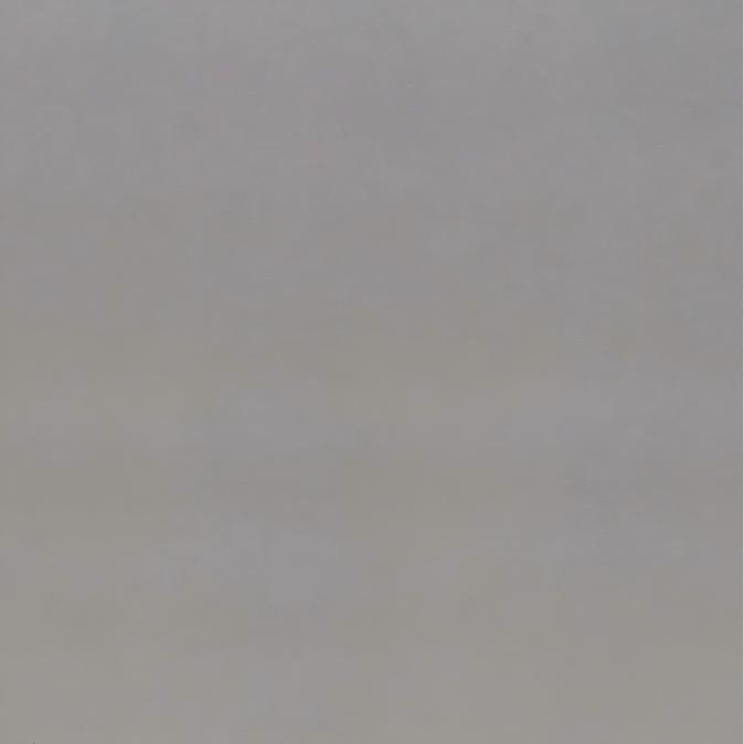 P019