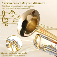 Factory Wholesale Bb Brass Body Gold and Silver Color Matched Phosphor Copper Tone Tube Trumpet With Case Set