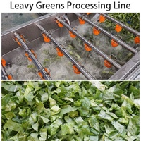 Commerciële machine voor het snijden, wassen en drogen van groenten voor salades, 1000-2000 kg/uur, voor de verwerking van verse snijgroenten in een verwerkingsbedrijf