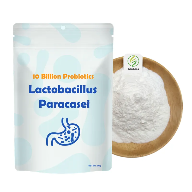 Fornitura all'ingrosso probiotici in polvere liofilizzato Lactobacillus Paracasei in polvere