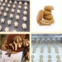 Machine à biscuits industrielle automatique bicolore en acier inoxydable Hasborg Quatromax haute productivité pour la fabrication de biscuits et de gâteaux à base de farine et de lait