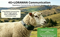 Kerah GPS Virtual Fence Lorawan Baru untuk Ternak, Kerah Kejut Listrik Khusus untuk Domba, Pagar Elektronik Pelacak