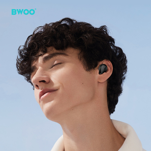 Bwoo Loại C Earbuds Không Dây Màu Xanh Răng V5.3 Thể Thao In-Ear Tai Nghe Đúng Stereo Tai Nghe Âm Thanh Tai Nghe Với Tiếng Ồn Hủy Bỏ - Product Image 5