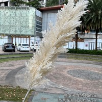 Grosir dekorasi rumput Pampas 102cm Reed buatan bunga untuk dekorasi rumah pernikahan