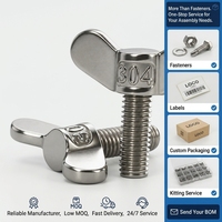 Tengri 304 Stainless Steel Wing Nut Butterfly Hand Tighten Fastener for Equipment Panel Fixtures Wholesale Supply