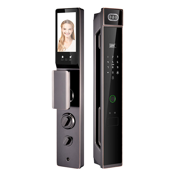 Factory Price Intelligent Face Recognition Combination Safe Fingerprint Smart Door Lock · image 6