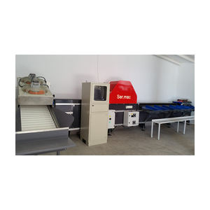 Sermac 1 línea para melocotones en España, precio competitivo, línea de clasificación de frutas usadas, máquina de línea de clasificación industrial al por mayor - Product Image 1