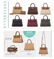 Offre Promotionnelle Usine Chrisbelela Derniers Sacs à Main de Gros Dames 2025 Sacs à Main Petits pour Femmes Luxe