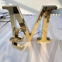 Enseigne de Luxe Extérieure en Acier Inoxydable Doré Poli Miroir, Lettres 3D Lumineuses à LED avec Effet Halo pour Façade de Magasin