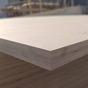 <span class=keywords><strong>Tablero</strong></span> de <span class=keywords><strong>Contrachapado</strong></span> para Encofrado, Recubierto con Película Fenólica Marrón, Impermeable y Antideslizante, con Malla Metálica - Product Image 5