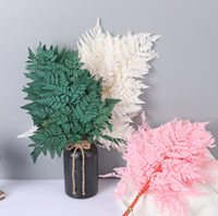 Fougère Arachniodes du Yunnan stabilisée, frondes de fougère séchées, préservées aux conservateurs chimiques longue durée pour la décoration intérieure et les arrangements de Noël