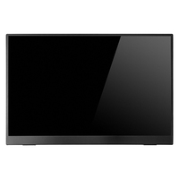 15.6 Inch Portable Monitor with Energy-Efficient IPS Display Slim Extra Second Screen for Laptop Travel Use 1080P Resolution