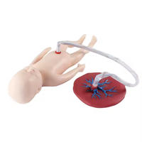 Modelo de Enfermería de ciencia médica avanzada, cuidado del cordón umbilical neonatal, modelo de enseñanza de placenta y recién nacido para escuelas y hospitales