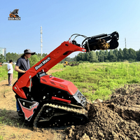 Cargadora Compacta de Orugas Directa de Fábrica, Conforme a CE y Euro5, Ejes de Alta Gama, Bajo Ruido para Comunidades Antiguas y Proyectos Micromunicipales