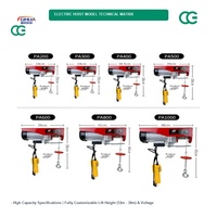 Treuil électrique micro-câble Fuhua certifié CE, capacité de 100 kg à 1000 kg, mini-treuil électrique de qualité industrielle avec commande par télécommande filaire. .