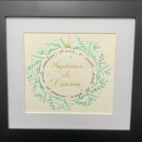 HY Ensemble de stylos de calligraphie d'art populaire pour débutants 1 support en bois et 9 plumes-pour l'écriture des étudiants Utilisation des finances