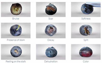 Mesin Sortasi Warna Cerdas Blueberry AI, Pasokan Pabrik Mesin Sortasi Kualitas Blueberry, Mesin Penyortir Buah Beri