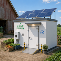 Chambre froide industrielle solaire conteneurisée avec compresseur Sanyo pour le stockage de piments, tomates, laitues, choux, maïs et blé