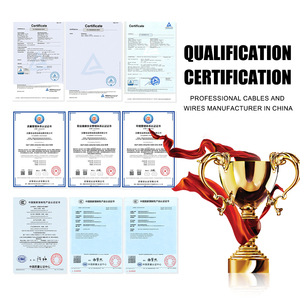 Cáp <span class=keywords><strong>xlpe</strong></span> chống cháy NH-YJV-không khói và Halogen thấp, cho các Riser chính và phân phối điện quan trọng - Product Image 4